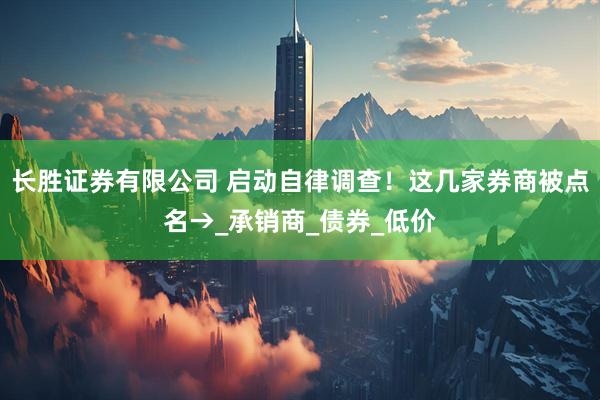 长胜证券有限公司 启动自律调查！这几家券商被点名→_承销商_债券_低价